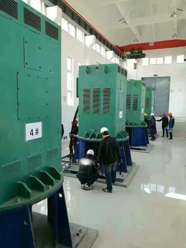 米东某污水处理厂使用我厂的立式高压电机安装现场